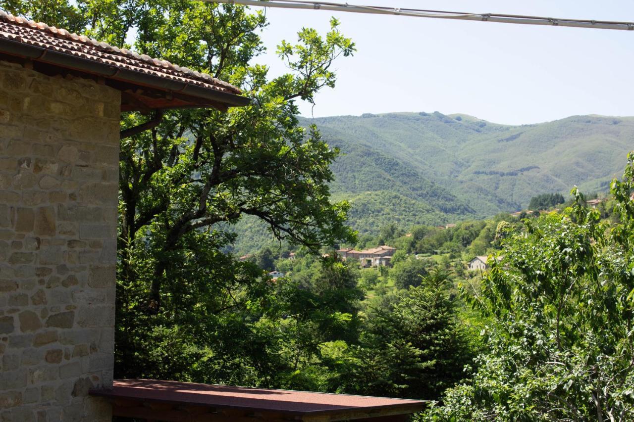 Il Rifugio Di Vale Villa Cetica Bagian luar foto